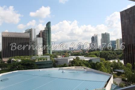 CityVista Residences (D9), Condominium #101793172